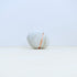 stone+glass : w-02-116